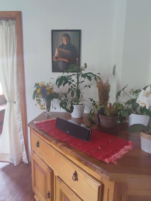Cemerno Cottage Gacko Ngoại thất bức ảnh